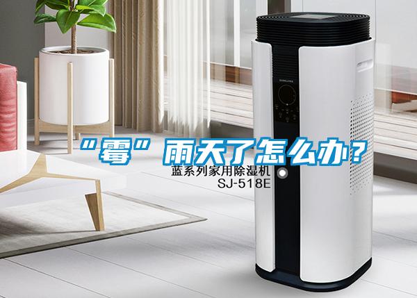 “霉”雨天了怎么辦？