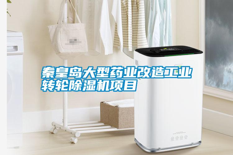 秦皇島大型藥業(yè)改造工業(yè)轉(zhuǎn)輪除濕機項目