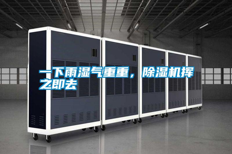 一下雨濕氣重重，除濕機(jī)揮之即去