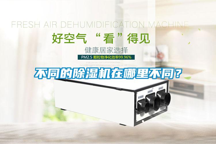 不同的除濕機在哪里不同？