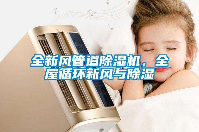 全新風管道除濕機，全屋循環(huán)新風與除濕