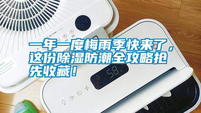 一年一度梅雨季快來了，這份除濕防潮全攻略搶先收藏！
