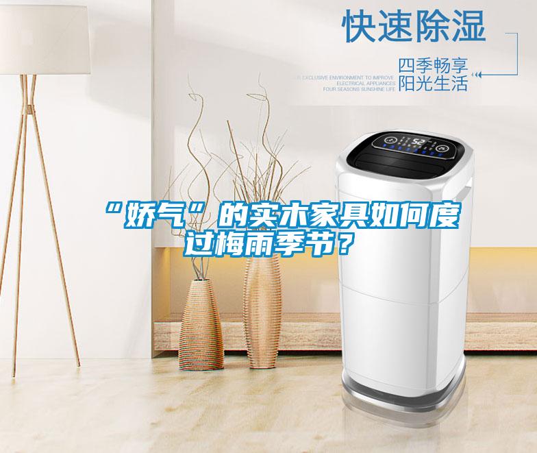 “嬌氣”的實(shí)木家具如何度過梅雨季節(jié)？