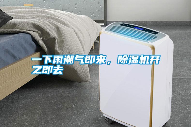 一下雨潮氣即來，除濕機開之即去