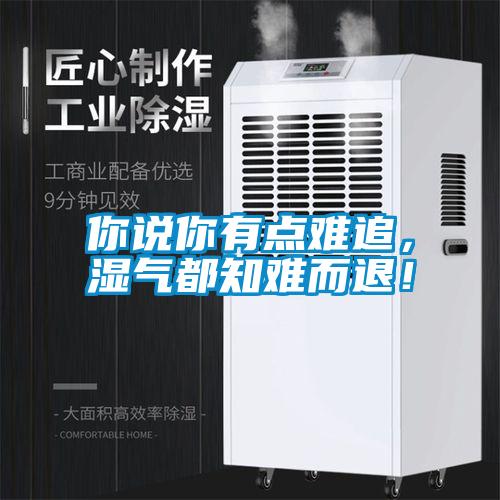 你說(shuō)你有點(diǎn)難追，濕氣都知難而退！