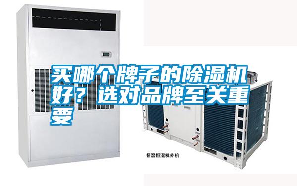 買哪個(gè)牌子的除濕機(jī)好？選對(duì)品牌至關(guān)重要