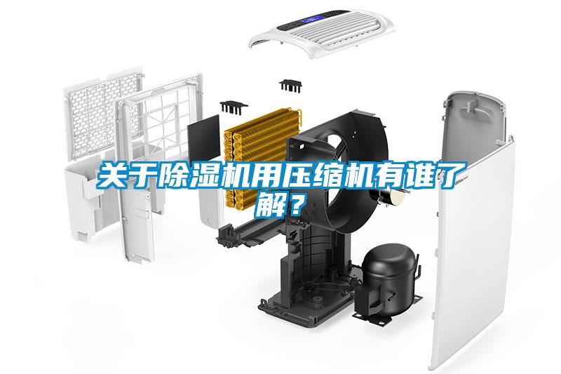 關于除濕機用壓縮機有誰了解？