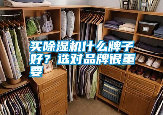 買除濕機(jī)什么牌子好？選對品牌很重要