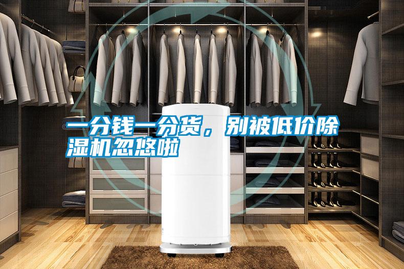 一分錢一分貨，別被低價除濕機忽悠啦