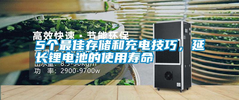 5個最佳存儲和充電技巧，延長鋰電池的使用壽命