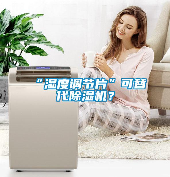 “濕度調(diào)節(jié)片”可替代除濕機(jī)？