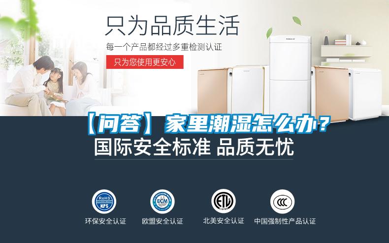 【問答】家里潮濕怎么辦？