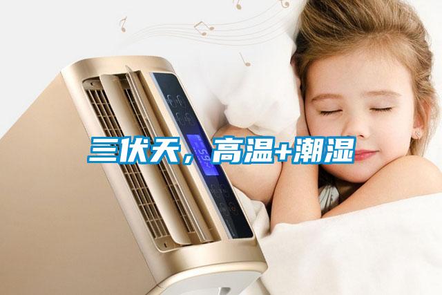 三伏天，高溫+潮濕
