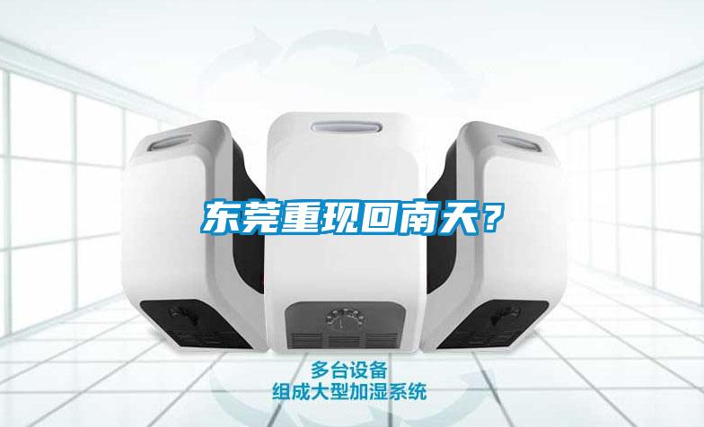 東莞重現(xiàn)回南天？