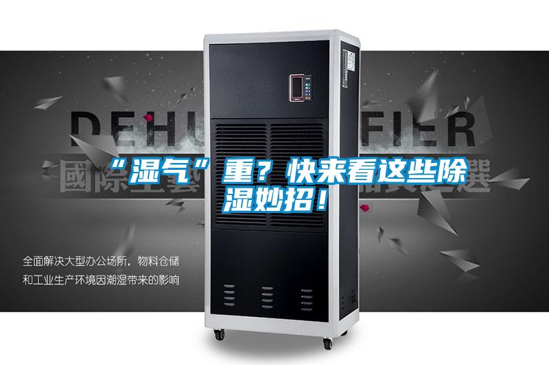 “濕氣”重？快來看這些除濕妙招！