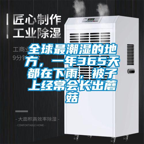 全球最潮濕的地方，一年365天都在下雨，被子上經(jīng)常會長出蘑菇