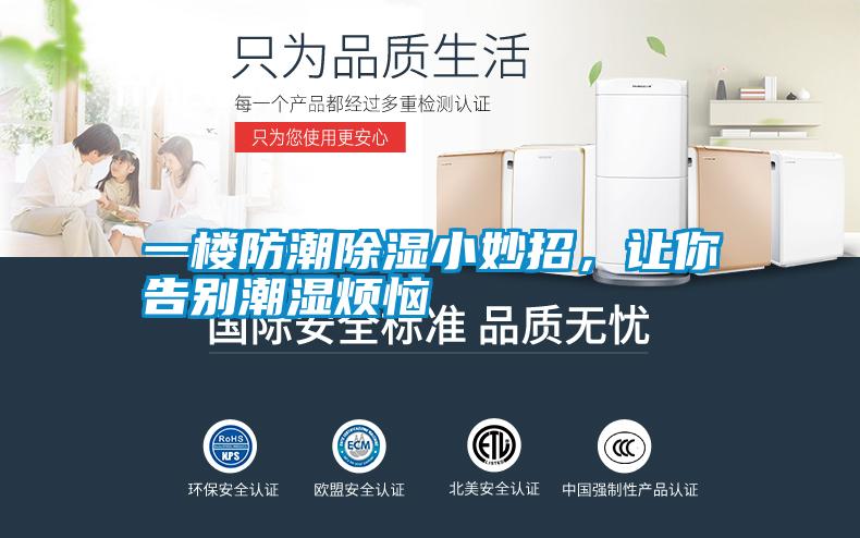 一樓防潮除濕小妙招，讓你告別潮濕煩惱