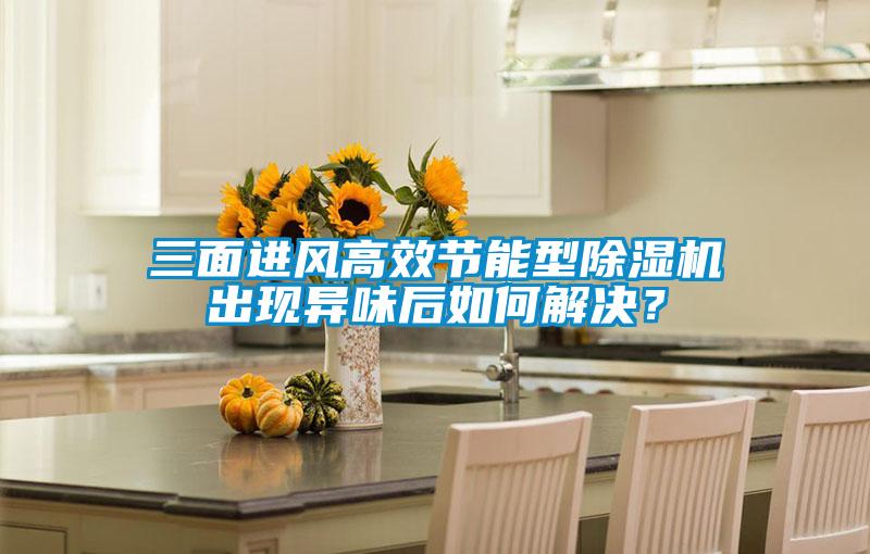 三面進(jìn)風(fēng)高效節(jié)能型除濕機(jī)出現(xiàn)異味后如何解決？