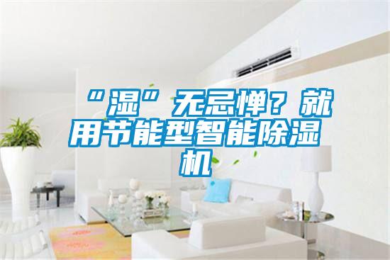“濕”無忌憚？就用節(jié)能型智能除濕機