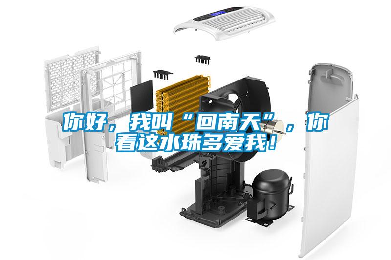 你好，我叫“回南天”，你看這水珠多愛我！