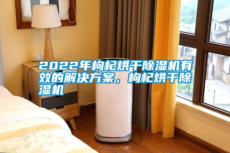 2022年枸杞烘干除濕機(jī)有效的解決方案，枸杞烘干除濕機(jī)
