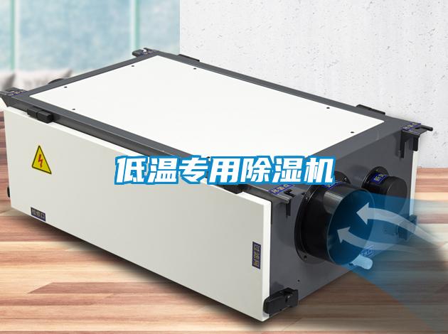 低溫專(zhuān)用除濕機(jī)
