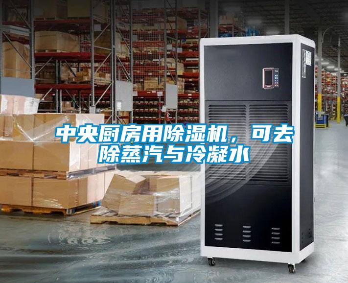 中央廚房用除濕機，可去除蒸汽與冷凝水