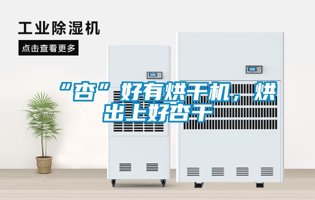 “杏”好有烘干機(jī)，烘出上好杏干