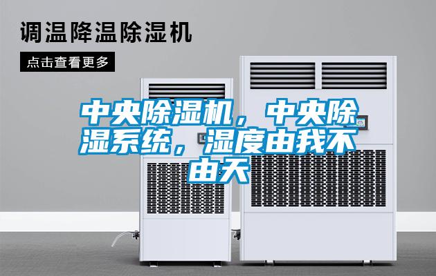 中央除濕機(jī)，中央除濕系統(tǒng)，濕度由我不由天