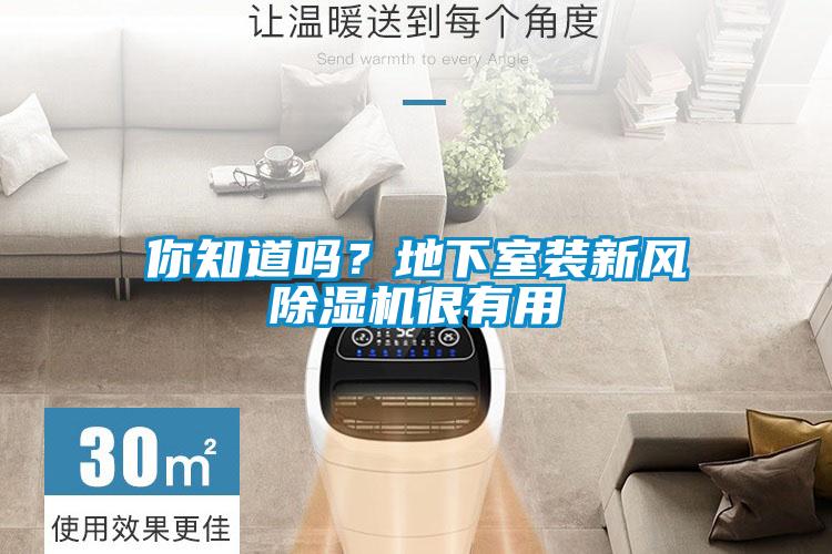 你知道嗎？地下室裝新風(fēng)除濕機(jī)很有用