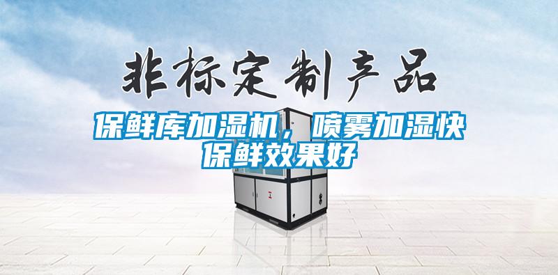 保鮮庫加濕機，噴霧加濕快保鮮效果好