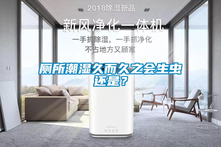 廁所潮濕久而久之會(huì)生蟲還是？