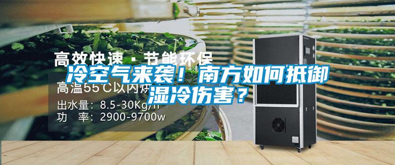 冷空氣來(lái)襲！南方如何抵御濕冷傷害？