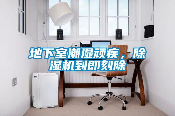 地下室潮濕頑疾，除濕機(jī)到即刻除