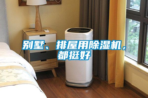 別墅、排屋用除濕機，都挺好