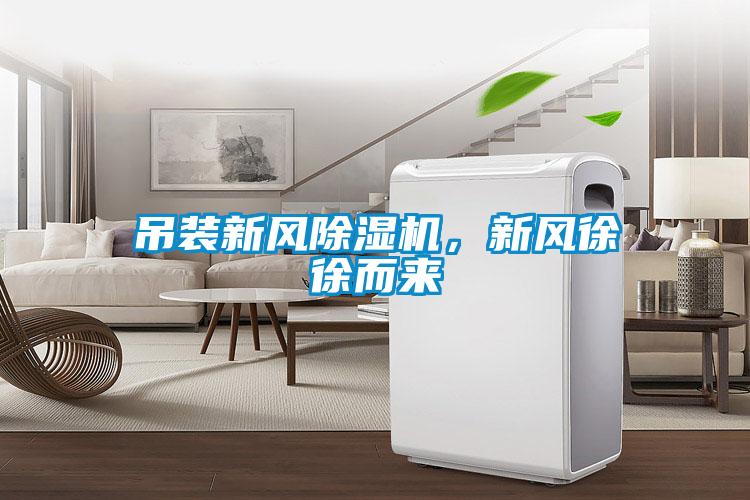 吊裝新風(fēng)除濕機(jī)，新風(fēng)徐徐而來(lái)