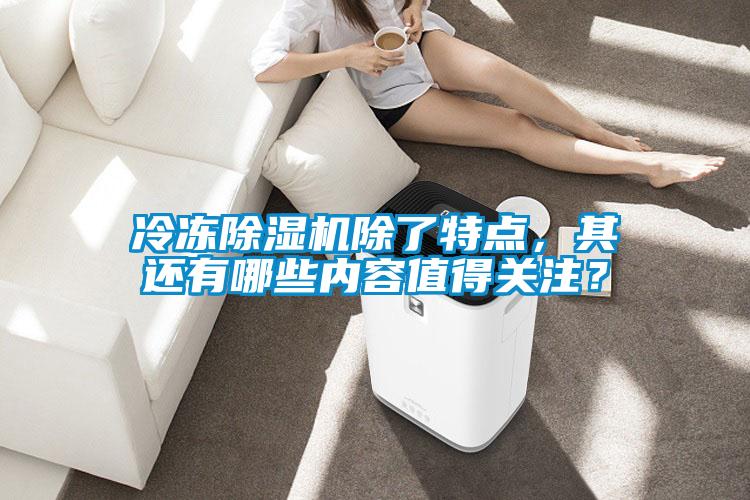 冷凍除濕機除了特點，其還有哪些內(nèi)容值得關注？