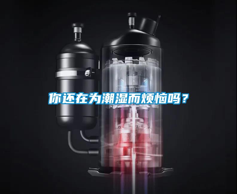 你還在為潮濕而煩惱嗎？