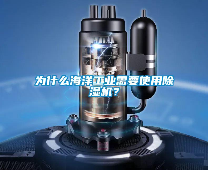 為什么海洋工業(yè)需要使用除濕機？