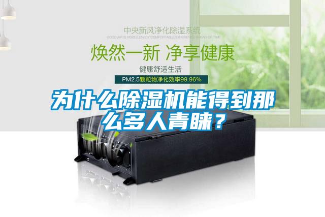為什么除濕機能得到那么多人青睞？