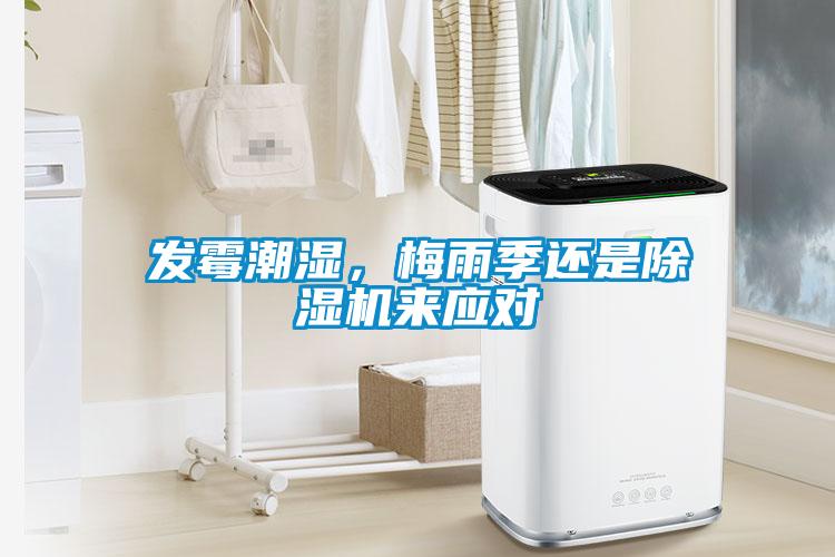發(fā)霉潮濕，梅雨季還是除濕機(jī)來應(yīng)對