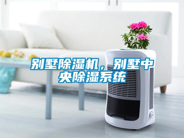 別墅除濕機(jī)，別墅中央除濕系統(tǒng)