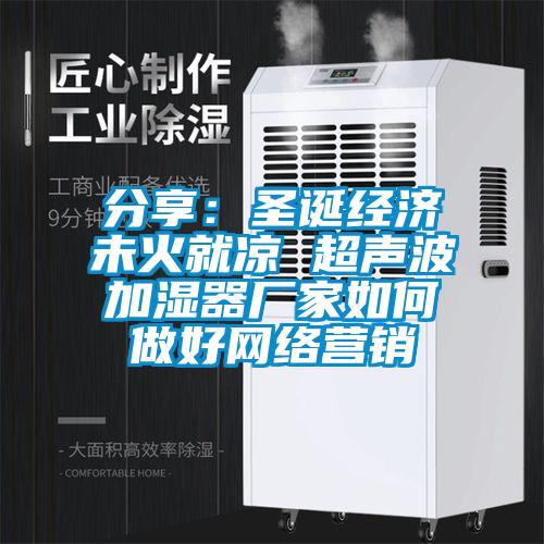 分享：圣誕經(jīng)濟(jì)未火就涼 超聲波加濕器廠(chǎng)家如何做好網(wǎng)絡(luò)營(yíng)銷(xiāo)