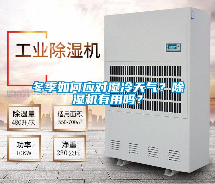 冬季如何應對濕冷天氣？除濕機有用嗎？