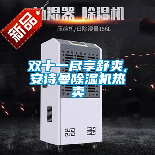 雙十一盡享舒爽,安詩(shī)曼除濕機(jī)熱賣(mài)