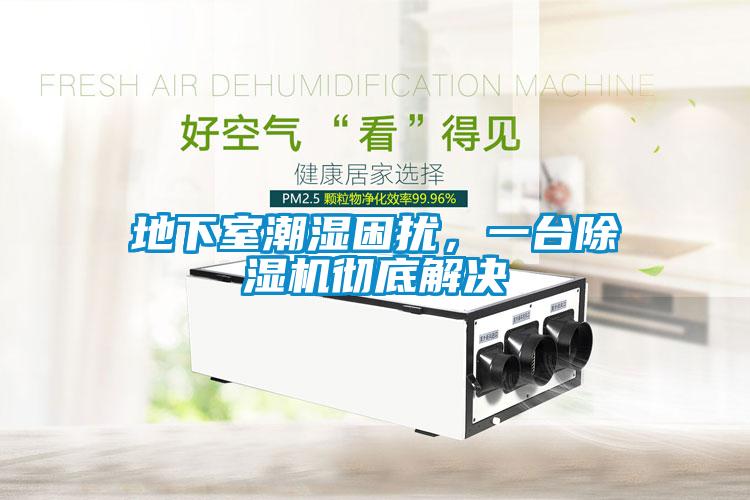 地下室潮濕困擾，一臺除濕機徹底解決