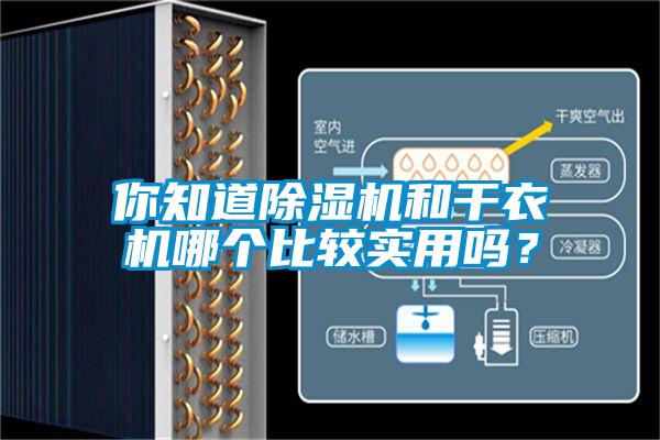 你知道除濕機和干衣機哪個比較實用嗎？