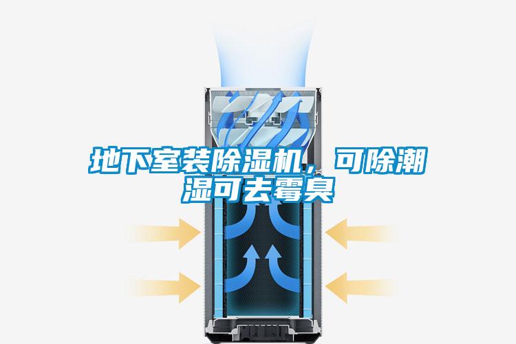 地下室裝除濕機，可除潮濕可去霉臭