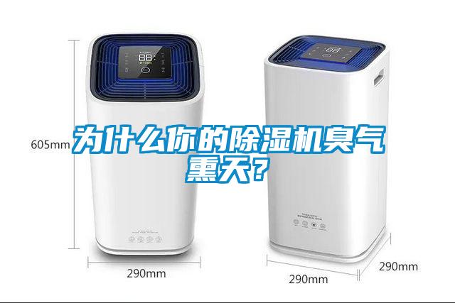 為什么你的除濕機(jī)臭氣熏天？