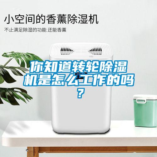 你知道轉(zhuǎn)輪除濕機(jī)是怎么工作的嗎？